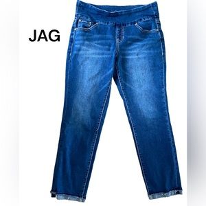 JAG JEANS High Rise Slim Ankle 8/29 stretchy waist